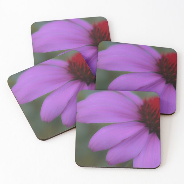 Item preview, Purple Coneflower designed and sold by DonnaMariePhoto.
