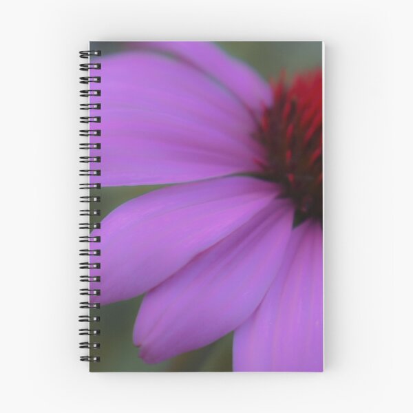 Item preview, Purple Coneflower designed and sold by DonnaMariePhoto.