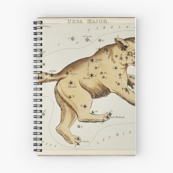 Item preview, Ursa Major Sidney Hall  designed and sold by Nikkita-tennant.