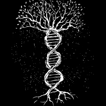 Artwork thumbnail, DNA Tree by DavinciStore21