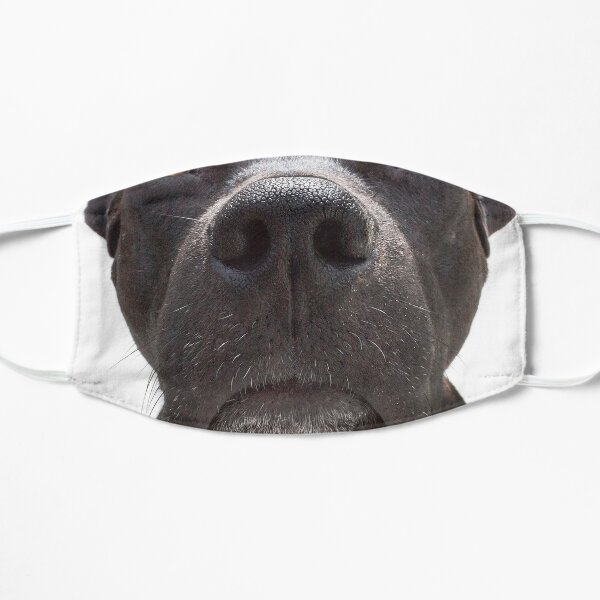 The SOPHIE Mask