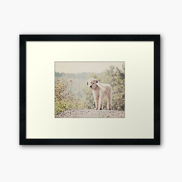 Molly Framed Art Print