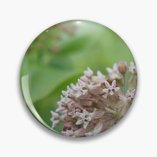 Artikelvorschau, Wolfsmilch Blumen entworfen und verkauft von distracted.