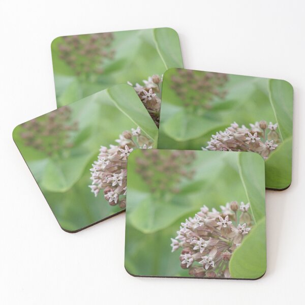 Item preview, milkweed flowers designed and sold by distracted.