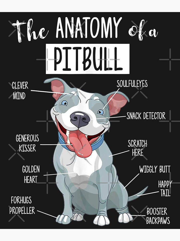 Blue Nose Pitbull Anatomy - Pittie Mama Dad Youth Gift by BasirKazimov