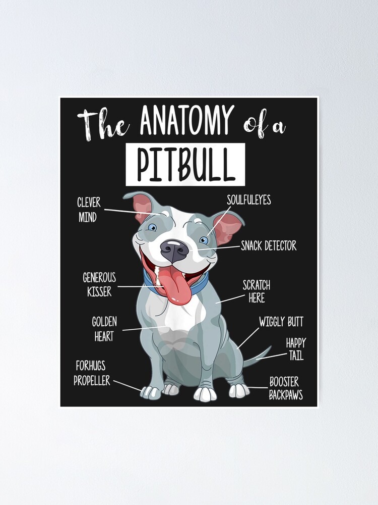 Alternate view of Blue Nose Pitbull Anatomy - Pittie Mama Dad Youth Gift Poster