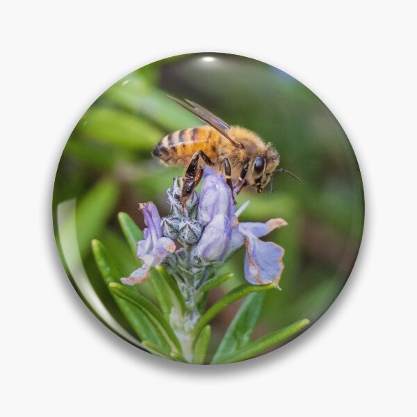 Item preview, Honey Bee and Rosemary Flirtations designed and sold by FigTreeMagick.