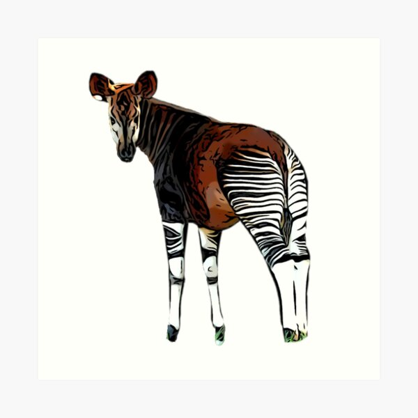 Okapi Okapi Classic T-Shirt | Redbubble