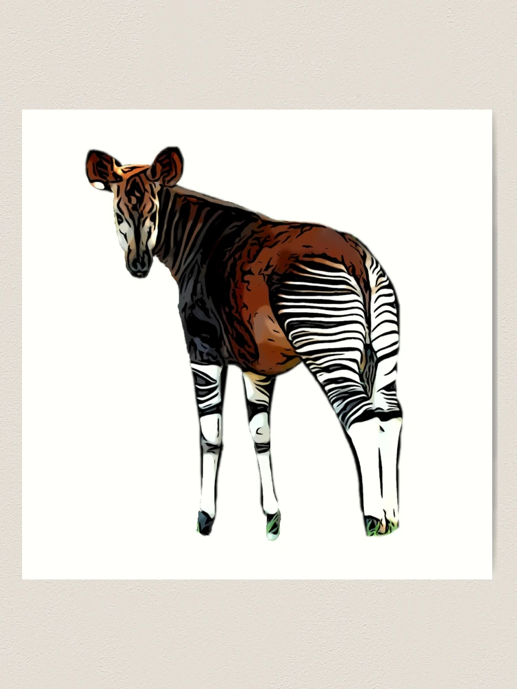 O Is For Okapi Okapi Kids Clothing | Redbubble