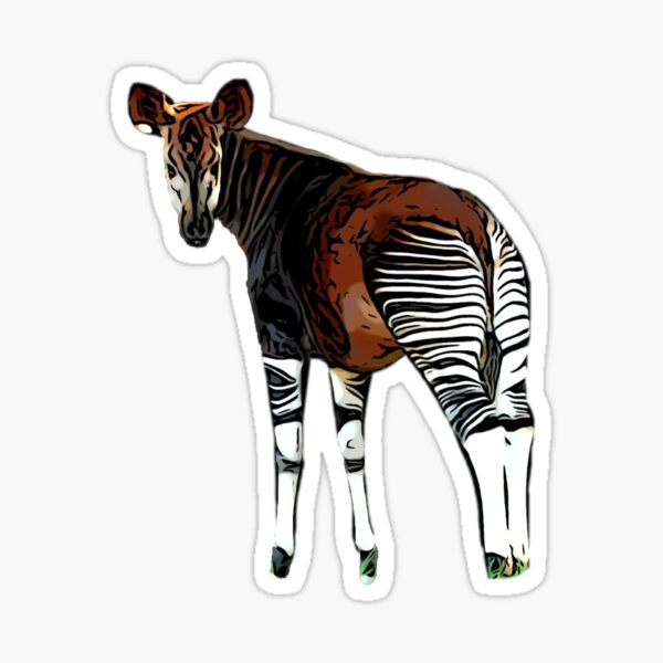 Okapi Shirt / Okapi / African Wildlife / Okapi Lover Gift / Forest Giraffe  / Zebra Giraffe / African Wildlife Lover Shirt / Okapi Tee -  Canada