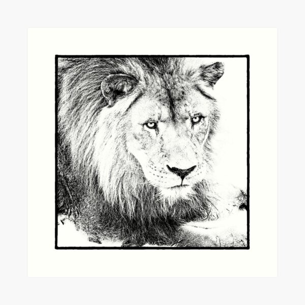 The King Art Print