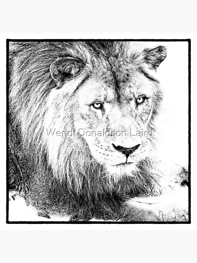 The King by wdonaldson