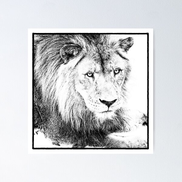 The King Poster