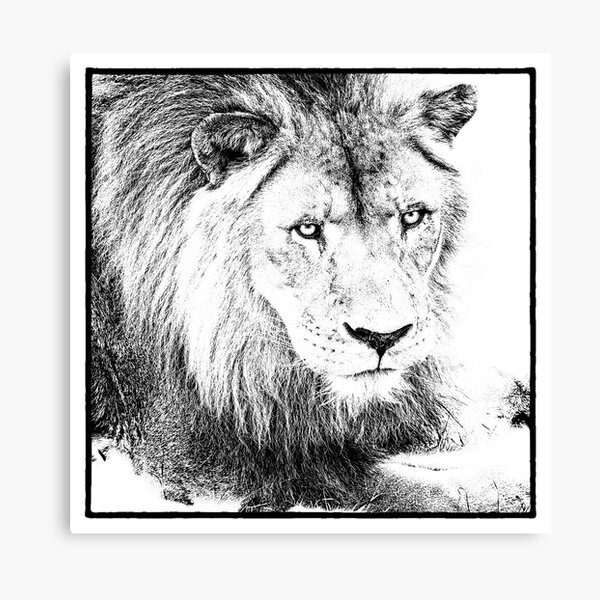 The King Canvas Print