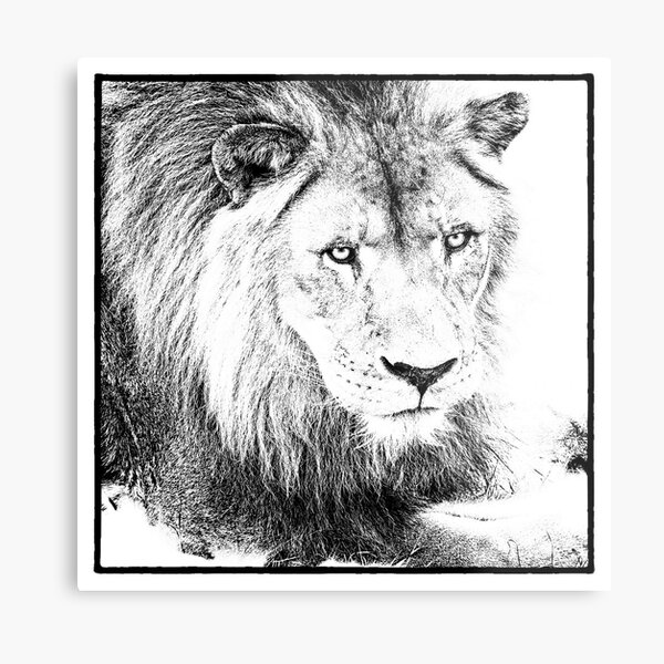 The King Metal Print