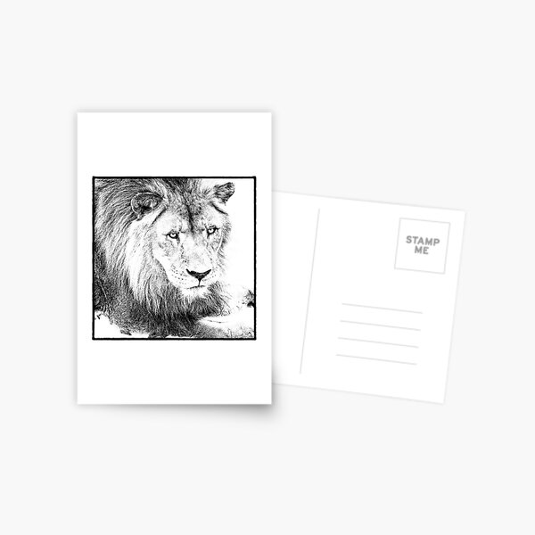 The King Postcard