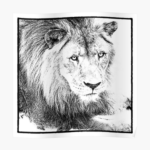 The King Poster