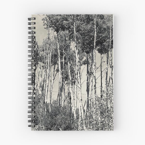 Item preview, Aspen trees designed and sold by Gaby Benzaquen.
