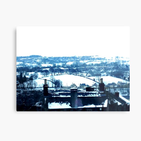 Snowy view Metal Print