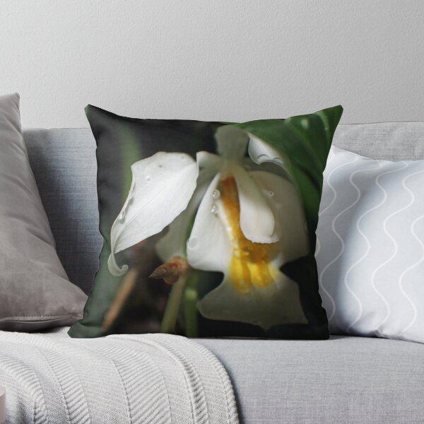 Shy Throw Pillow