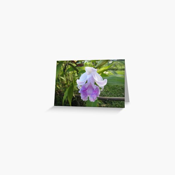 Jungle Orchid Greeting Card