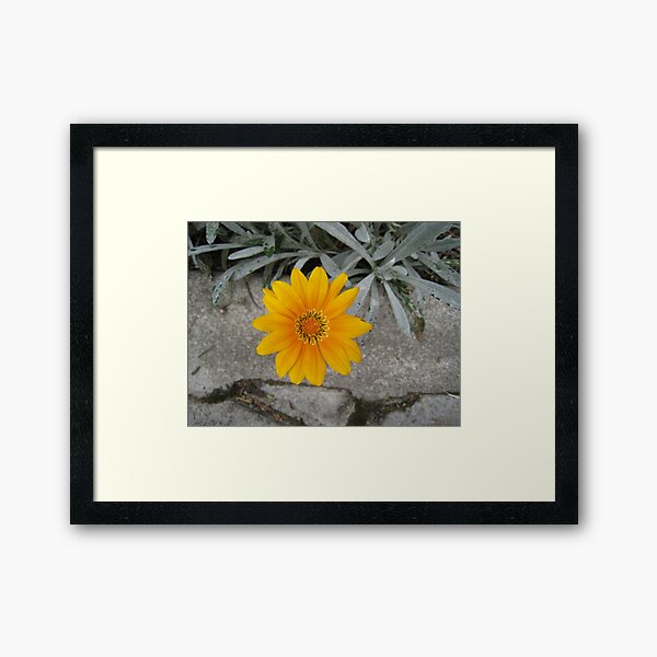 Hello, Beautiful Framed Art Print
