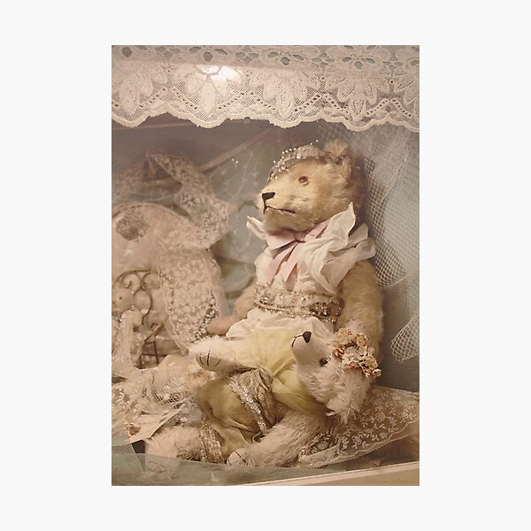 Teddybears in lace Photographic Print