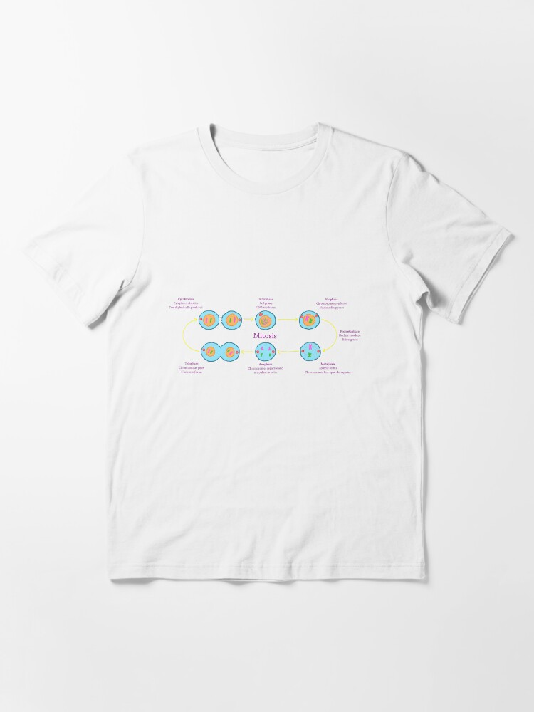 Alternate view of Mitosis Essential T-Shirt