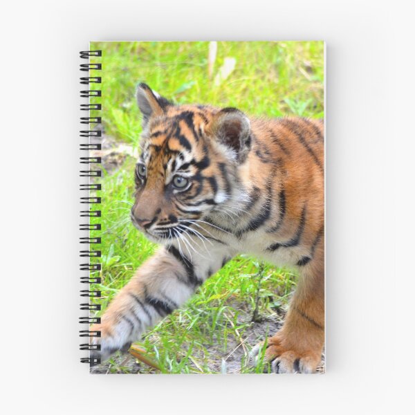 Item preview, Sumatran Baby Tiger On the Run designed and sold by richardbryce.