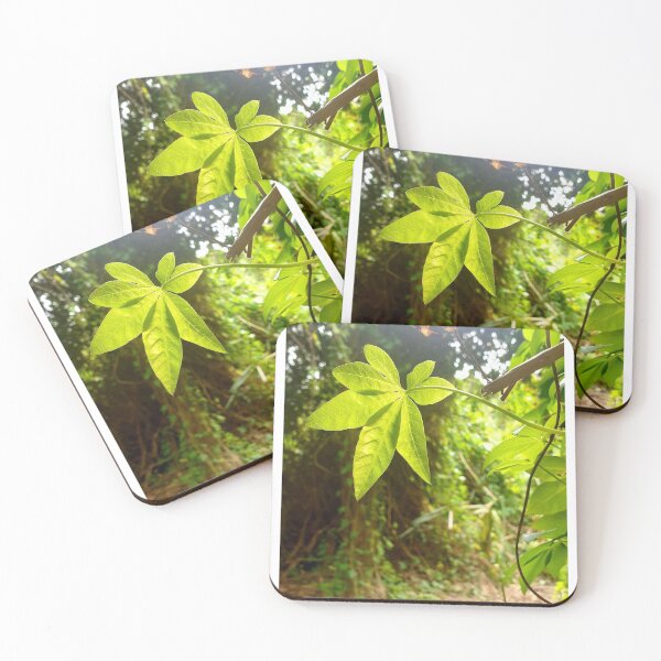 Item preview, Green Ivy designed and sold by KaiydoRose.