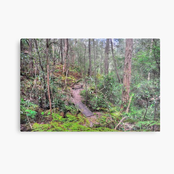 Item preview, Sassafras Gully 2 designed and sold by Terry Everson.