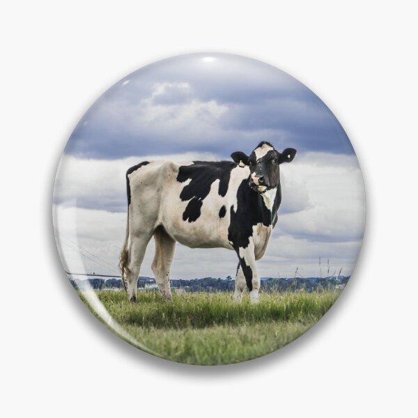 Item preview, Friesian Cow by the Severn Estuary designed and sold by LJPhotographyuk.