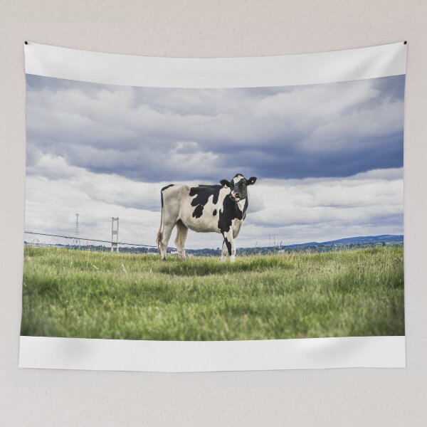 Item preview, Friesian Cow by the Severn Estuary designed and sold by LJPhotographyuk.