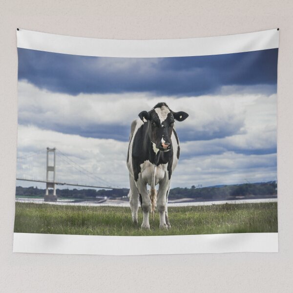 Item preview, Friesian Cow in a field near the Severn Estuary designed and sold by LJPhotographyuk.