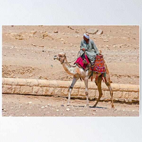 Item preview, Camel Taxi. designed and sold by bulljup.