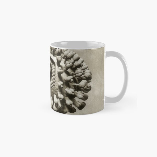 Ancient Flu Virus Classic Mug