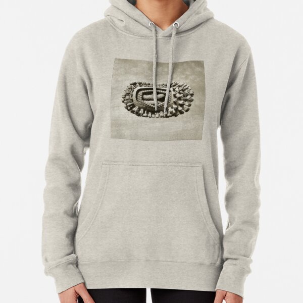 Ancient Flu Virus Pullover Hoodie