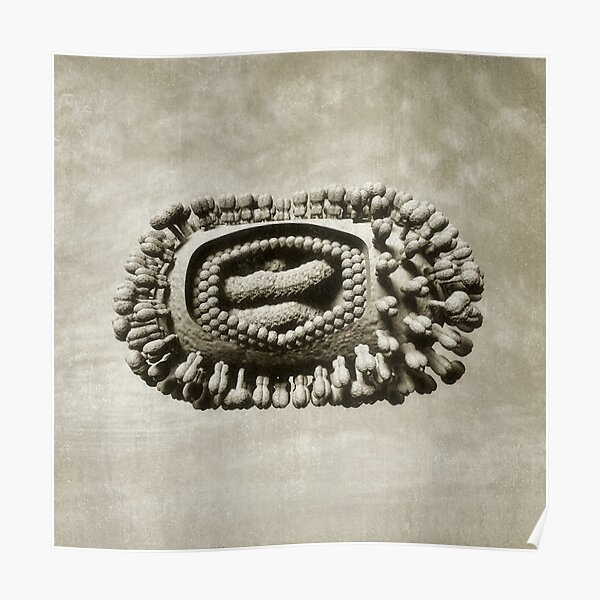 Ancient Flu Virus Poster