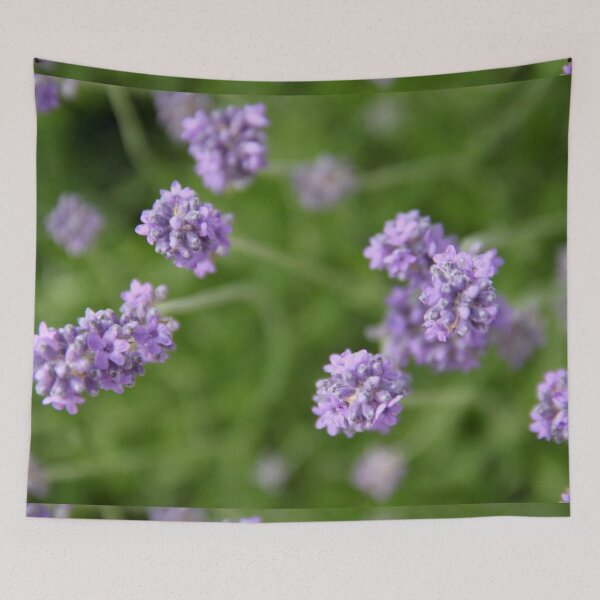 Item preview, Hummingbird hawk-moth in flight on lavender flowers designed and sold by EstelleRossetti.