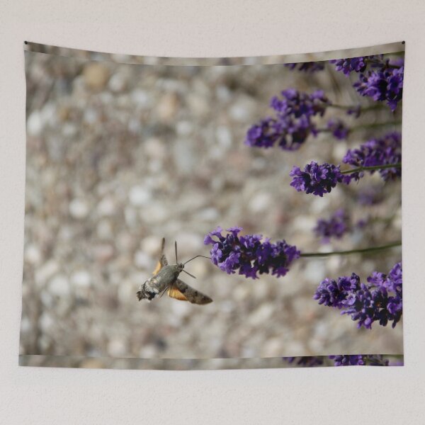 Item preview, Hummingbird hawk-moth in flight on lavender flowers designed and sold by EstelleRossetti.