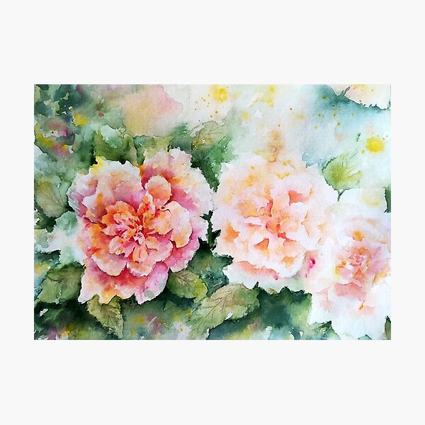 Dreamy romantic roses Photographic Print