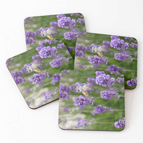 Item preview, Hummingbird hawk-moth in flight on lavender flowers designed and sold by EstelleRossetti.