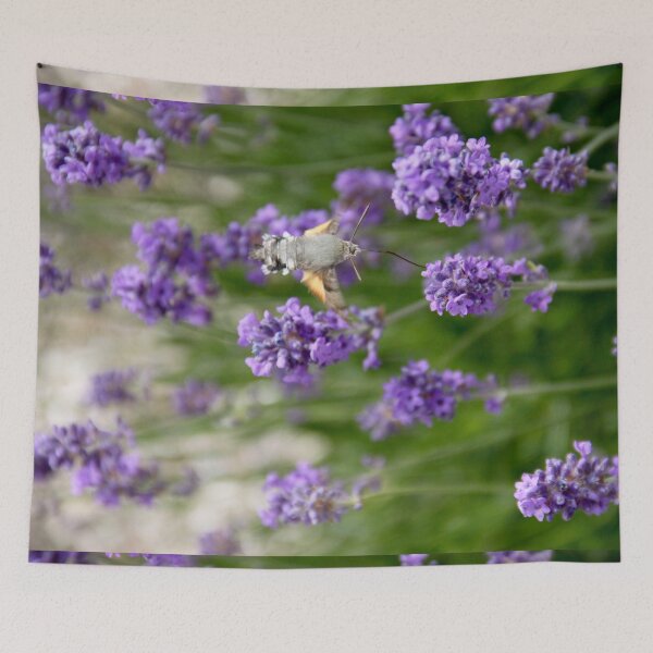 Item preview, Hummingbird hawk-moth in flight on lavender flowers designed and sold by EstelleRossetti.