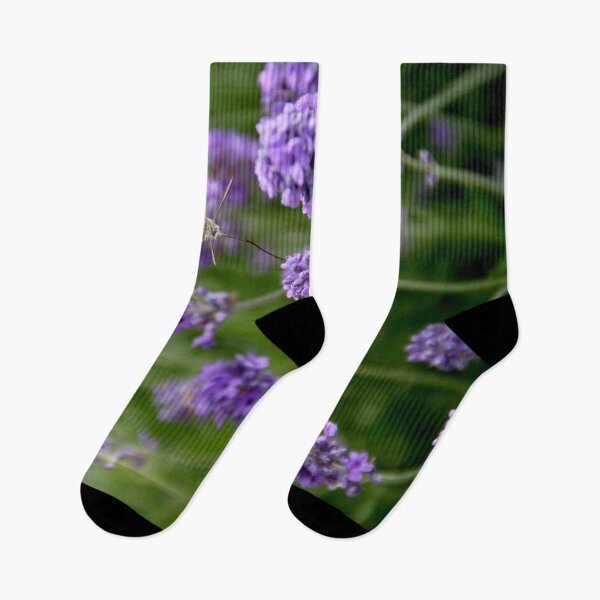 Item preview, Hummingbird hawk-moth in flight on lavender flowers designed and sold by EstelleRossetti.