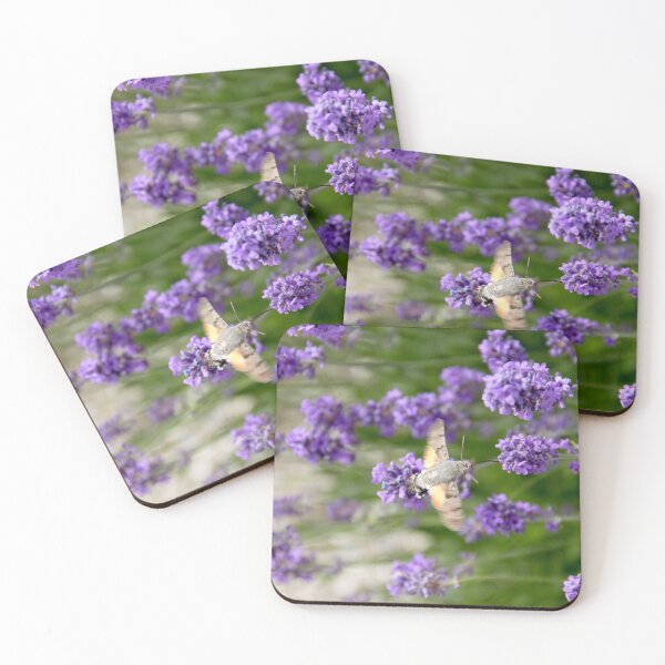 Item preview, Hummingbird hawk-moth in flight on lavender flowers designed and sold by EstelleRossetti.