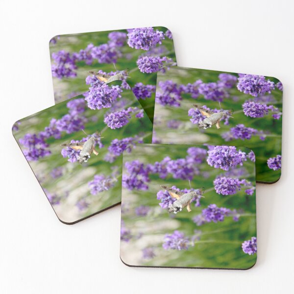 Item preview, Hummingbird hawk-moth in flight on lavender flowers designed and sold by EstelleRossetti.