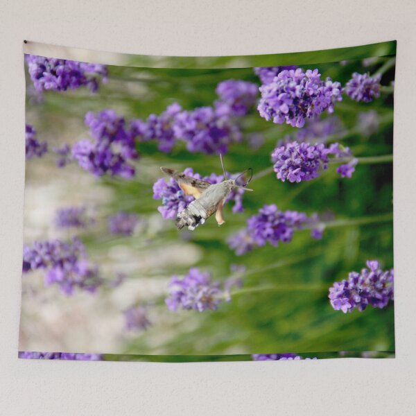 Item preview, Hummingbird hawk-moth in flight on lavender flowers designed and sold by EstelleRossetti.
