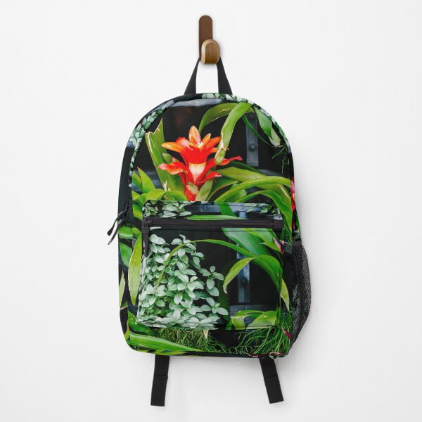 Item preview, bromeliad designed and sold by Gillian Vann.