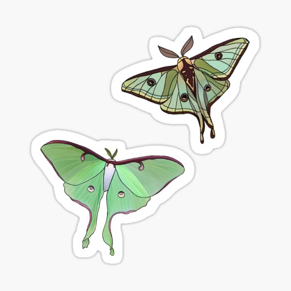 Small Moth Stickers