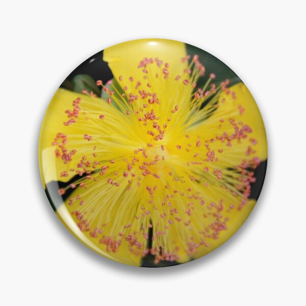 Item preview, Yellow opened spring perennial flower  designed and sold by EstelleRossetti.